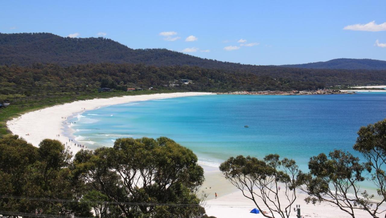 Sea Eagle Cottage Amazing Views Of Bay Of Fires Binalong Bay Экстерьер фото