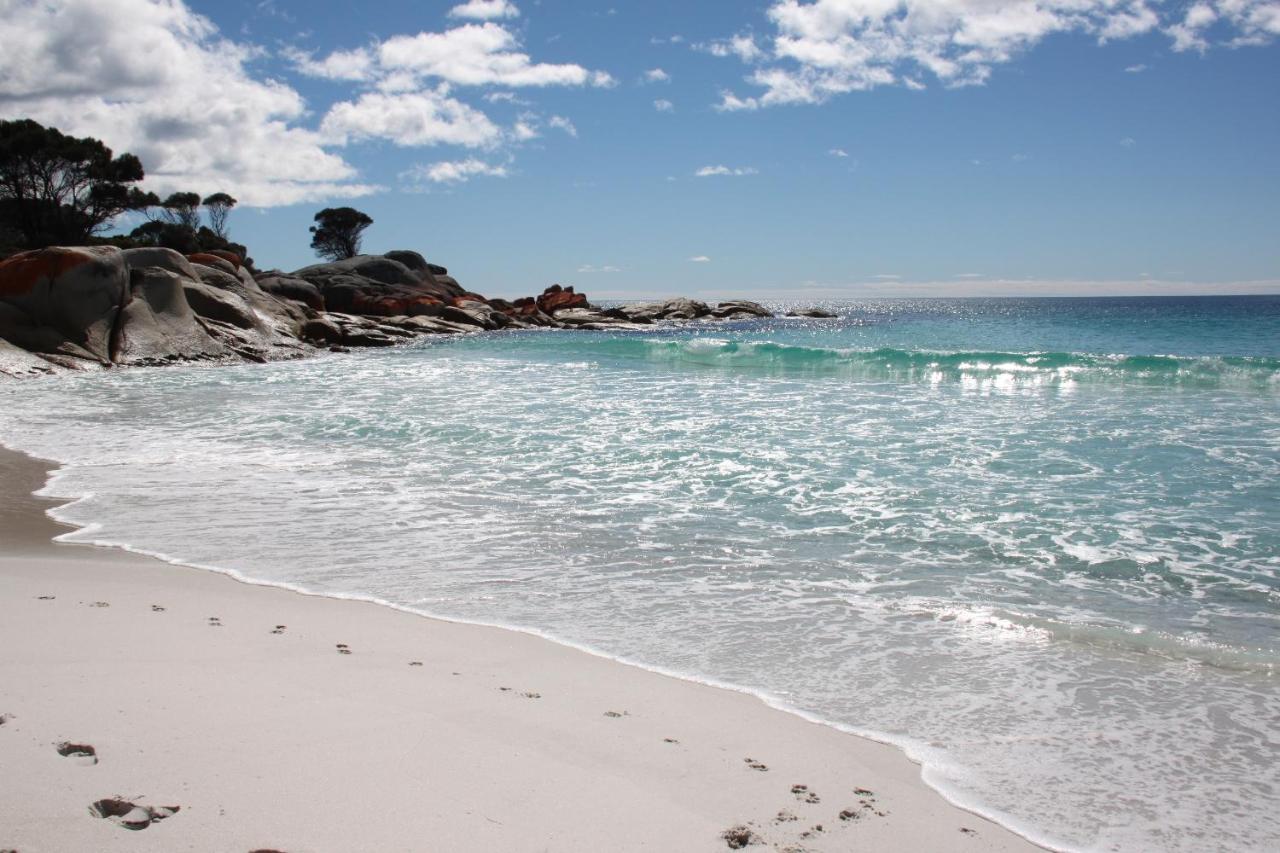 Sea Eagle Cottage Amazing Views Of Bay Of Fires Binalong Bay Экстерьер фото